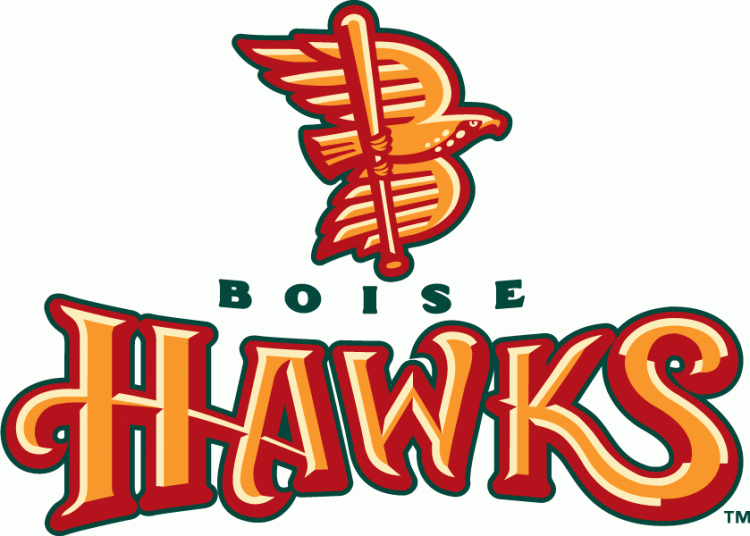 Boise Hawks 2011-Pres Primary Logo iron on transfers for clothing